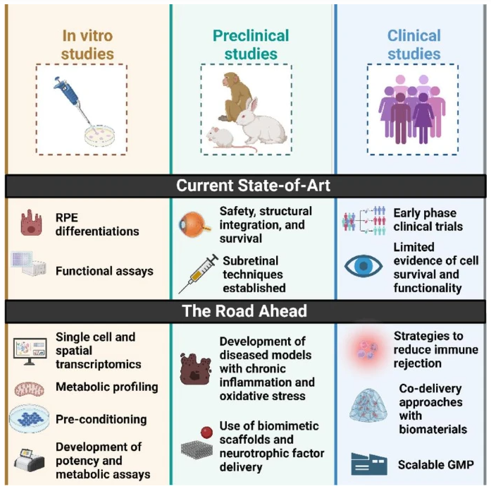 graphical-abstract graphical-abstract
