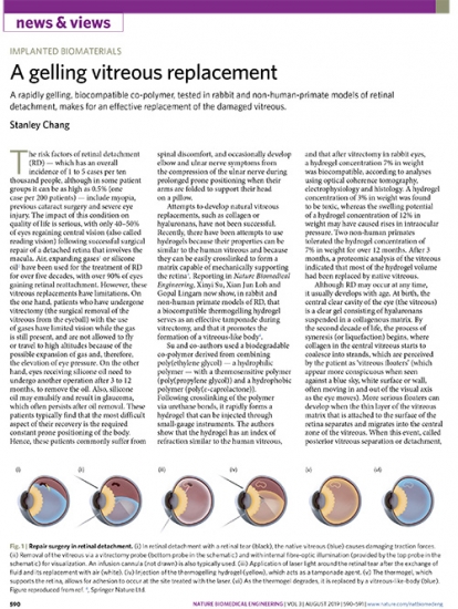 A gelling vitreous replacement
